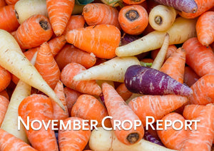 November Crop Report