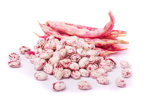 Fresh Borlotti Beans