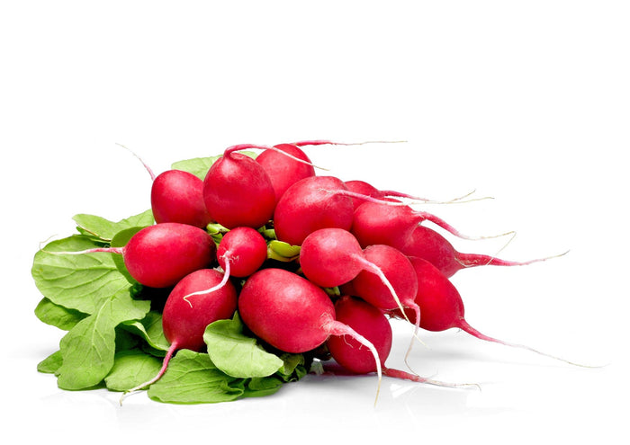 Radish Bunch (Each)