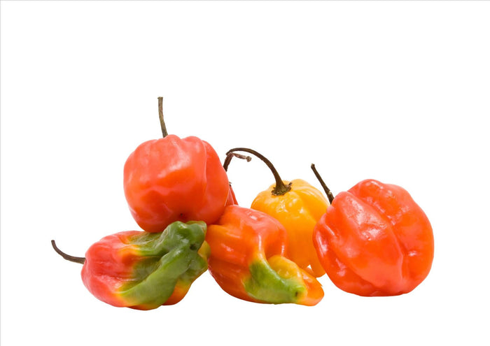 Chillies Scotch Bonnet Mixed (100g)