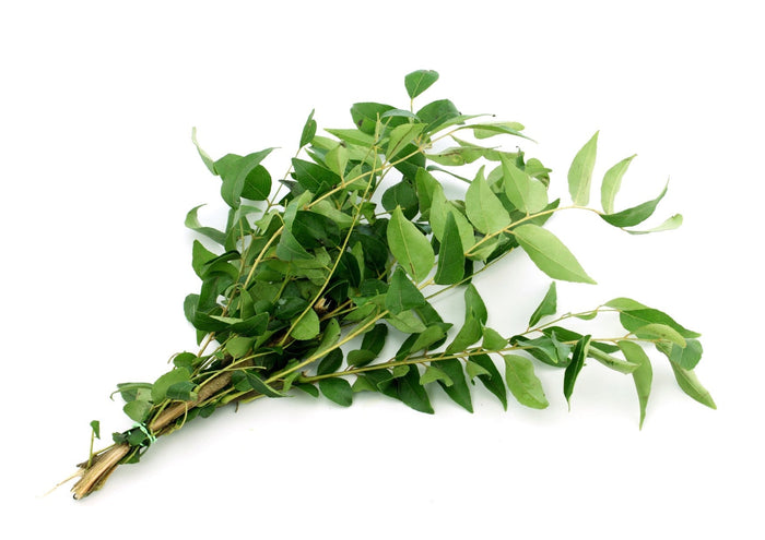 Fresh Curry Leaves (Bunch)