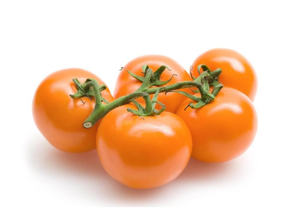 Large Orange Tomatoes (600g) – 4DegreesC