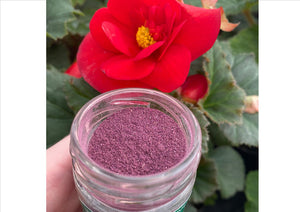 Nurtured in Norfolk - Rose Powder Edible Flowers (Dust) (10g) (Cut-off 12pm)