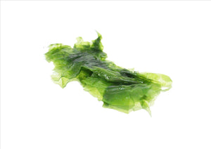 Seaweed Green (Sea Lettuce) (Pnt)