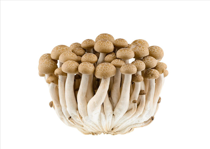 Mushrooms Brown Shimeji (150g)